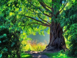 531726_504845489556773_1883699846_n