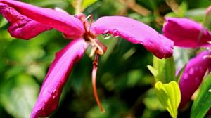 1238939_3333142623494_471814278_n