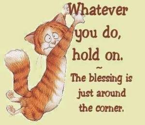 1240354_740395179312243_1966366663_n